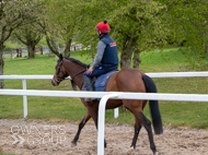 BP140425-8 - Squire Danagher (red hat)